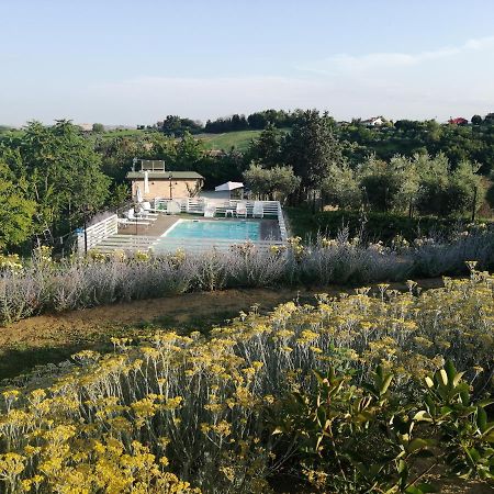 Bed and Breakfast Il Gelso Country House Castorano  Exterior foto